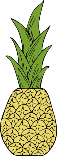 Vector dibujo de piña