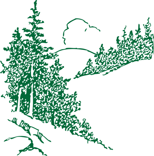 Pines in the mountain vector image