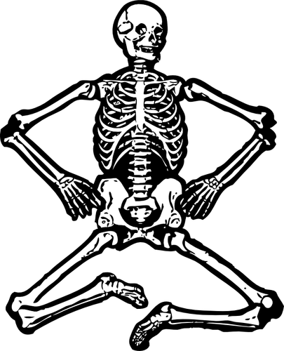 Sitting skeleton vector graphics