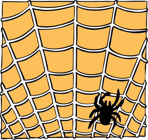 Vector drawing of spider on a spider web