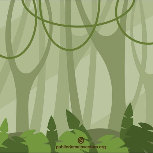 Pădure junglă