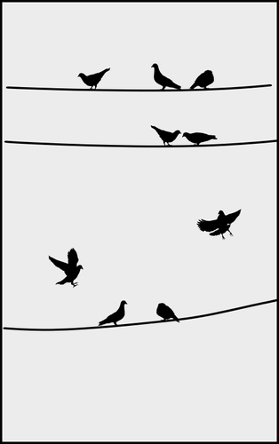 Pigeons sur Clipart fils