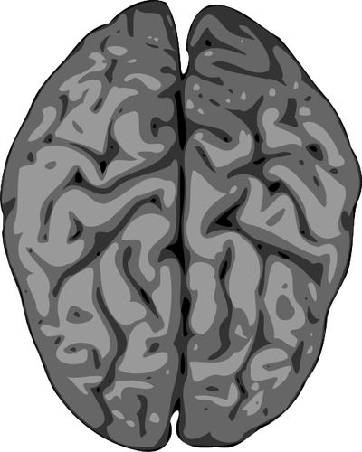 Image vector floue du cerveau humain