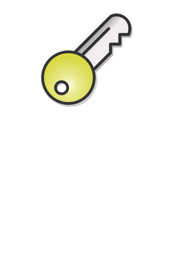 Ilustração em vetor de uma chave