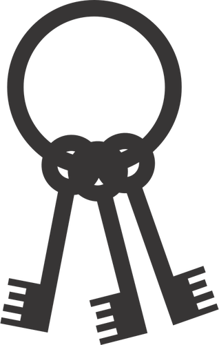 Keys on a ring silhouette vector image