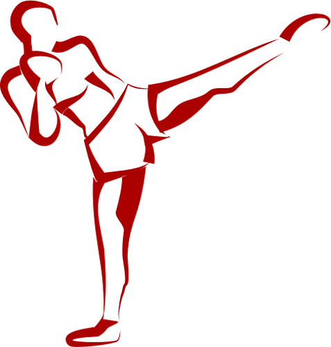 Kick boxer vector image