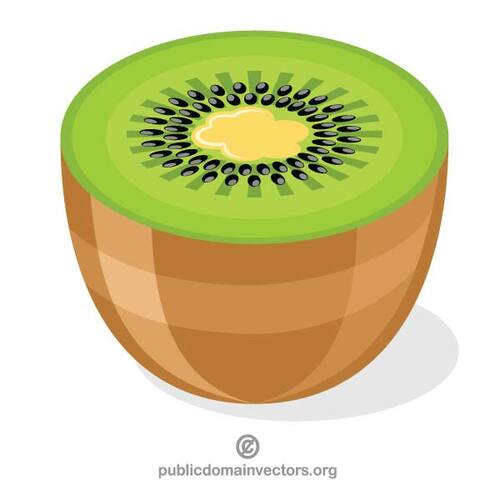 Slice of kiwi