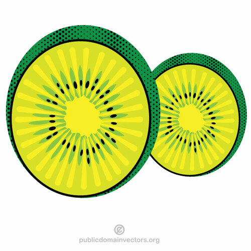 Kiwi fruit slice