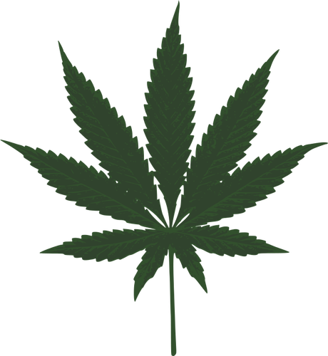 Cannabis leaf vektorbild