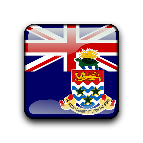 Cayman Islands flag vector