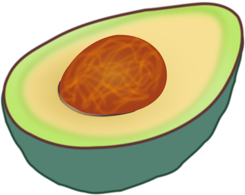Avocado skär i halv vektor ClipArt