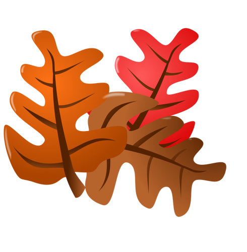 Vector image of autumn leaves