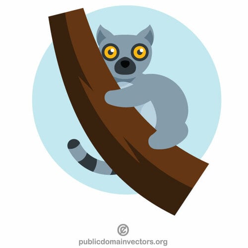 A lemur on the tree