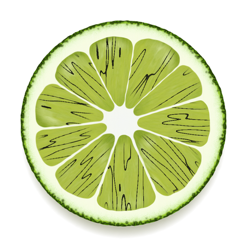 Lime slice vector drawing Public domain vectors