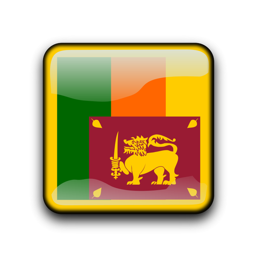 Sri Lanka flag vector