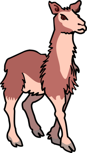 Lama vectorillustratie