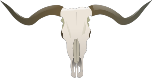 Longhorn череп векторное изображение