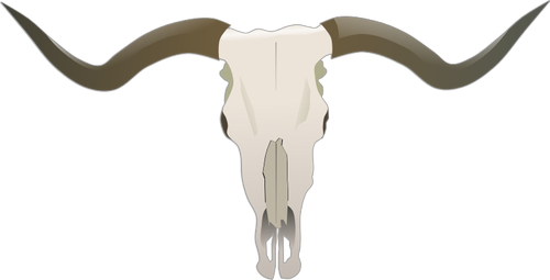 Longhorn cráneo vector de la imagen