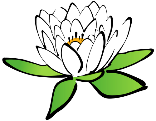 Изображение цветка лотоса