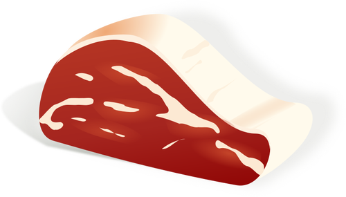 Vector illustration of piece of meat