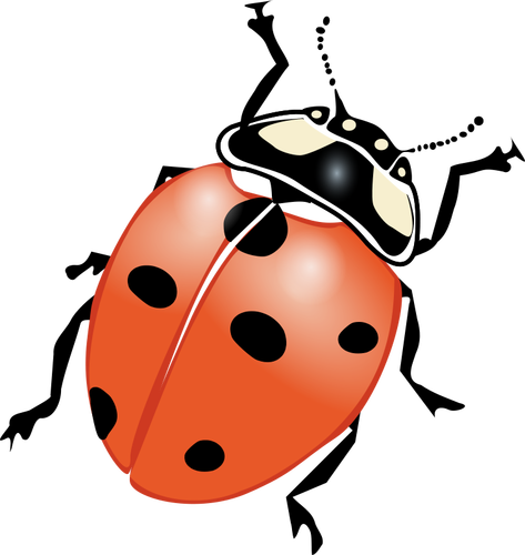 Ladybug vektorgrafikk