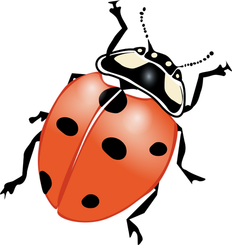 Ladybug vektorgrafikk