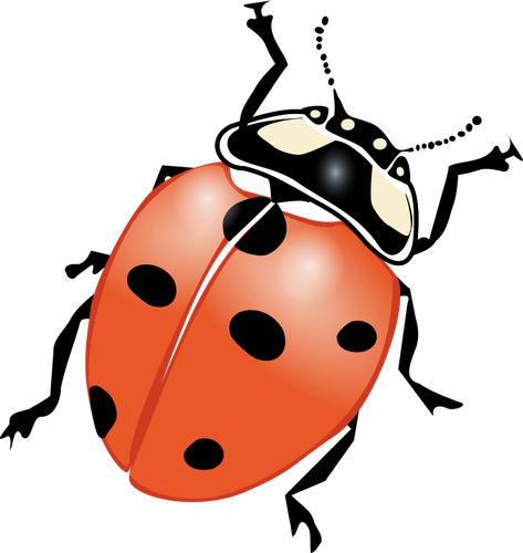 Gambar vektor ladybug