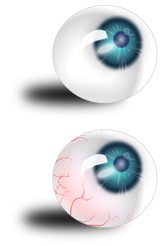 Due bulbi oculari