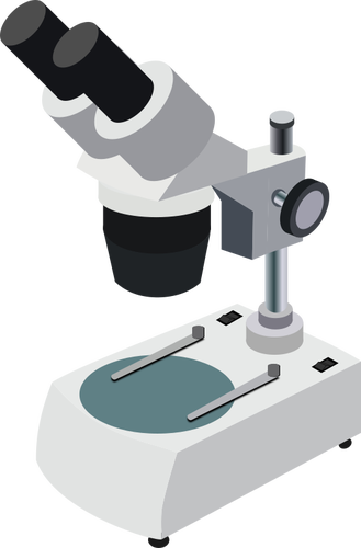 显微镜图像