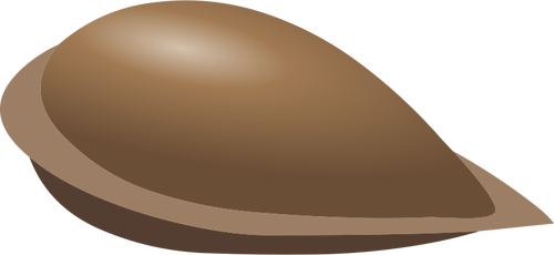 Vector image of apple seed