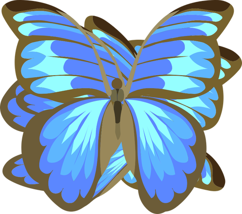 青い蝶を描く