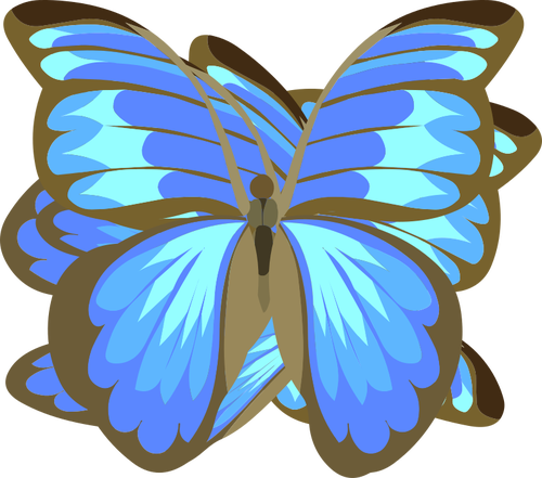 Blauer Schmetterling zeichnen