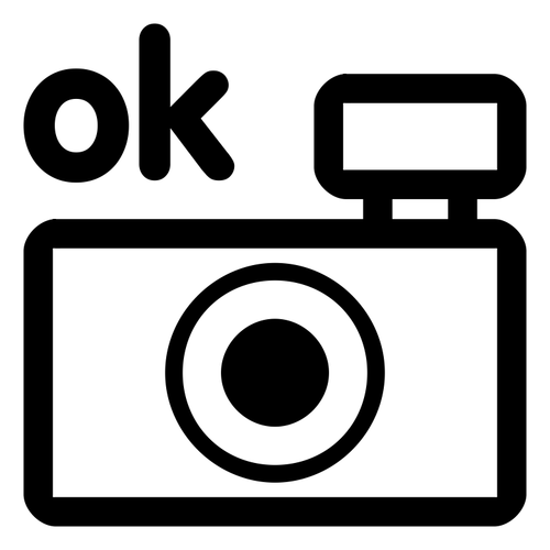 Vector drawing of photo camera black and white OK icon