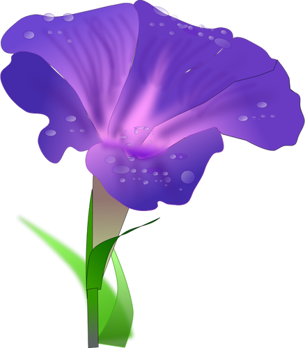 Clip-art vector de orchis