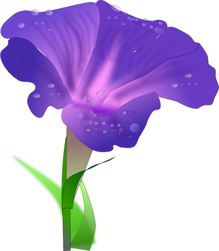 Vektor ClipArt av orchis