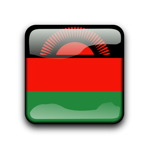 Vektor vlajka Malawi