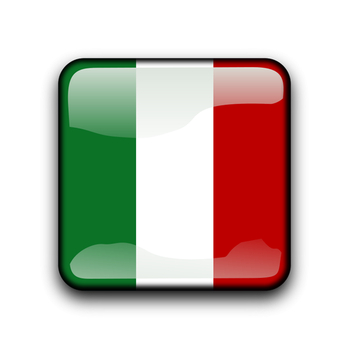 Mexican flag button vector