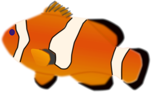 Amphiprion percula ryb vektorové ilustrace