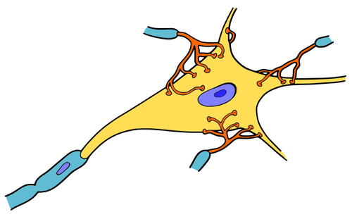 単純な神経細胞ベクター描画