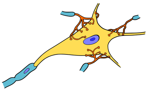 Einfache Neuron Vektorgrafik