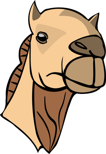 Imagem de cabeça camelo