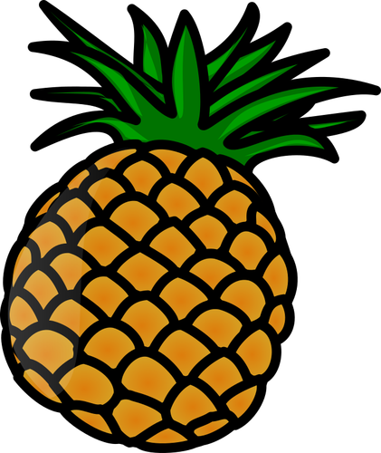 Tropisk frukt