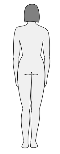 Female body silhouette vector