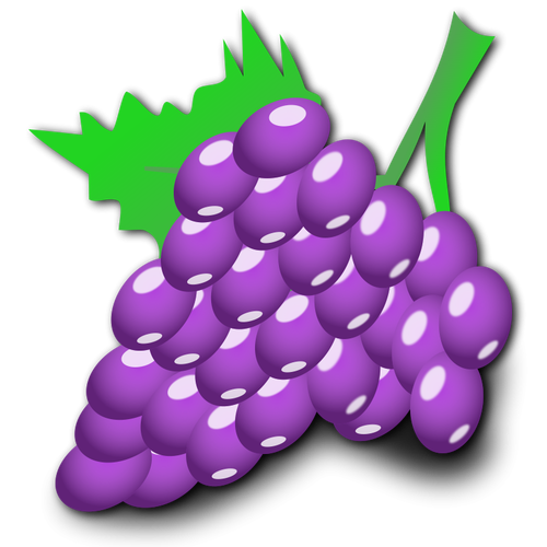 Ilustración vectorial de uvas