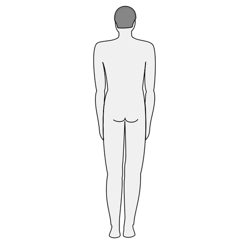 Arte del cuerpo masculino silueta vector clip