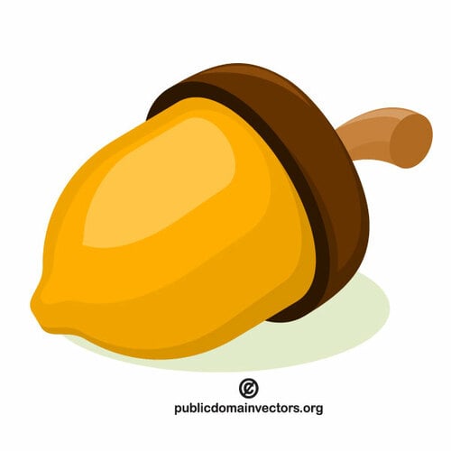 Acorn vector graphics