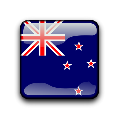 Newzealandske flagg vektor