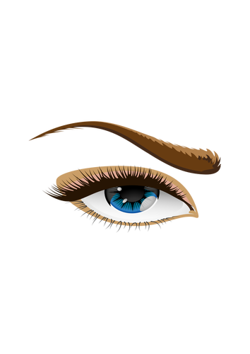 Grafika wektorowa oko brązowe brwi