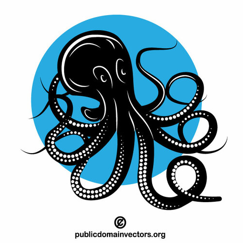 Black octopus