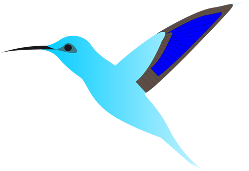 Graphics of humming bird in flight